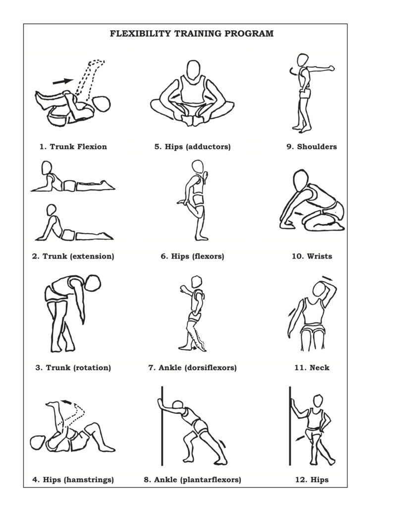 the-five-categories-of-motor-skill-and-athletic-development-gorilla